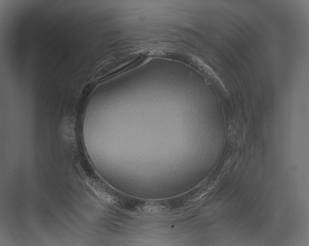 X0000076050209200610061519