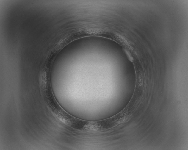 X0000076050211200610061519