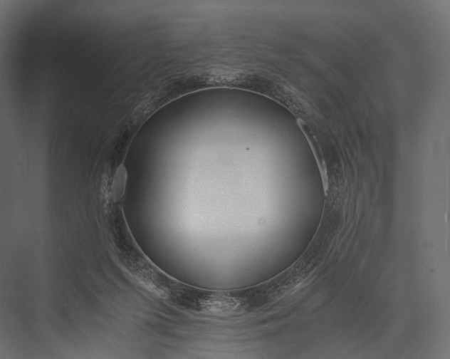 X0000076050215200610061518