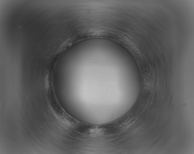 X0000076050216200610061518