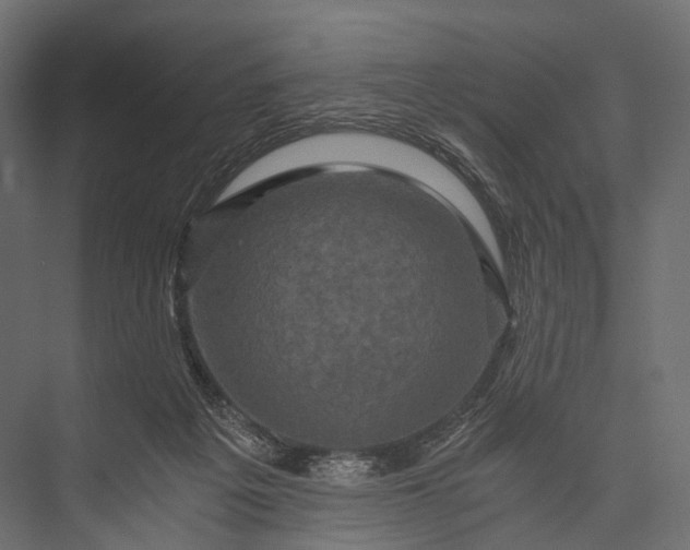 X0000076050217200610061518