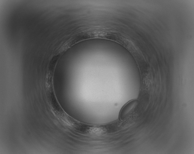 X0000076050218200610061518