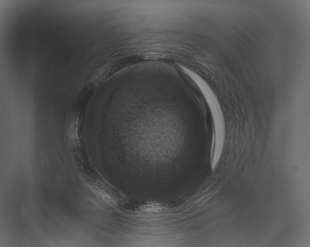 X0000076050219200610061518