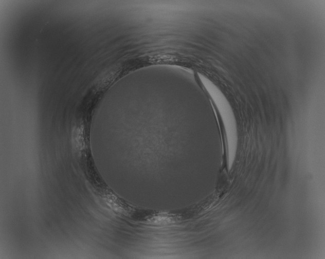 X0000076050224200610061518
