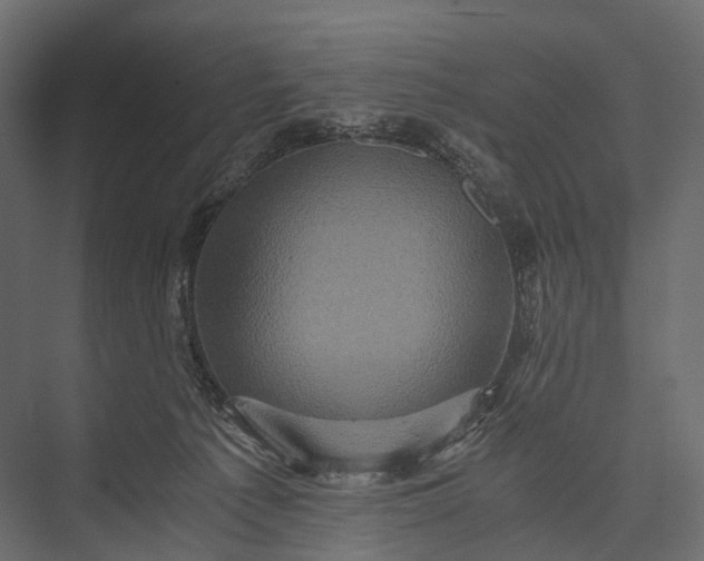 X0000076050225200610061518