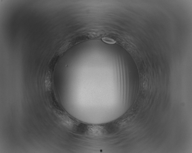 X0000076050226200610061518