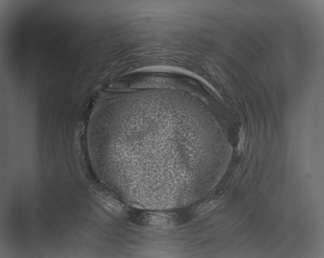 X0000076050229200610061518