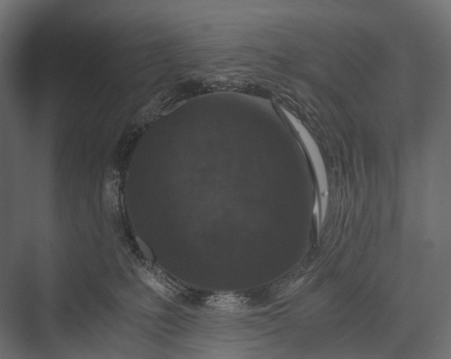 X0000076050231200610061518