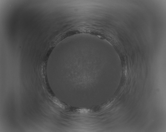 X0000076050233200610061518