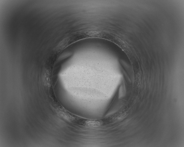 X0000076050234200610061518