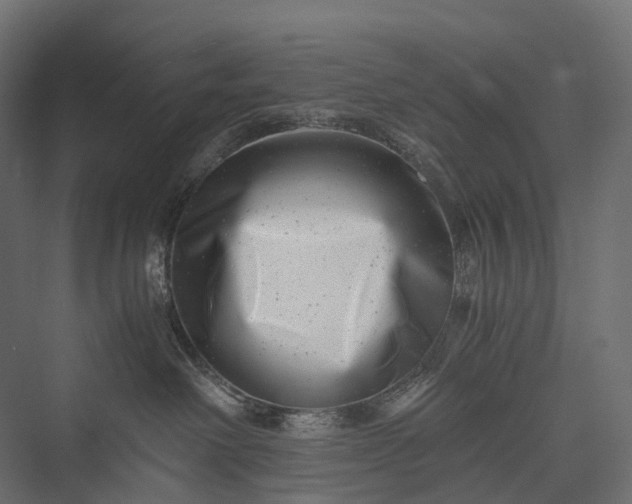 X0000076050238200610061518