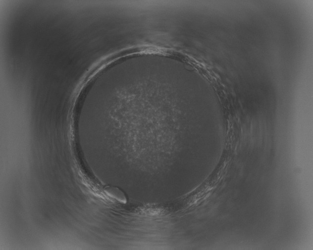 X0000076050247200610061517