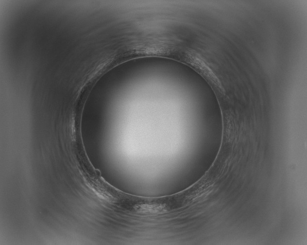 X0000076050251200610061517