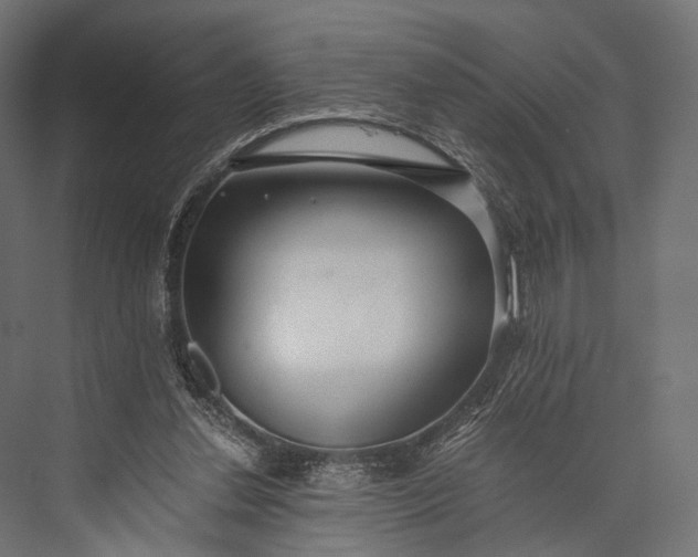 X0000076050252200610061517