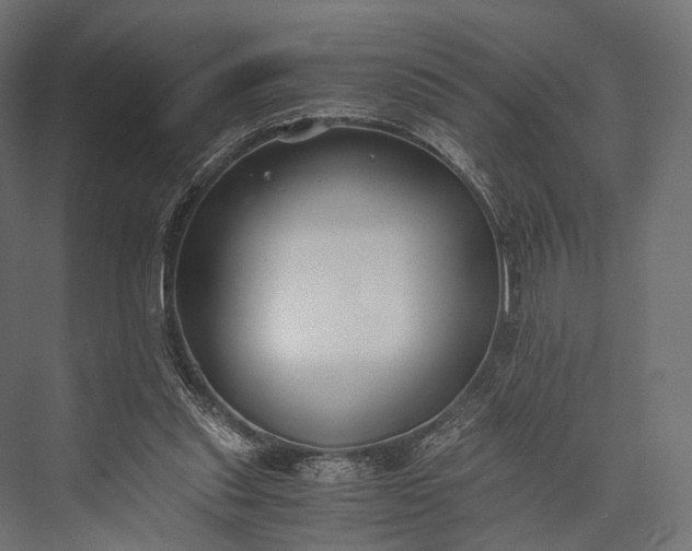 X0000076050253200610061517