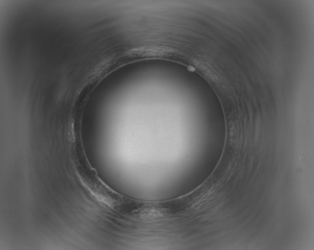 X0000076050254200610061517