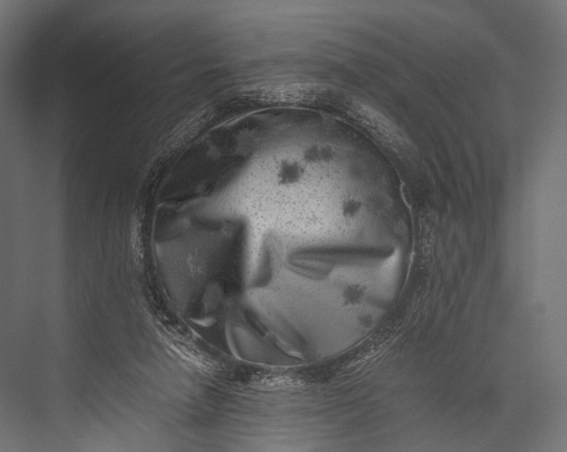X0000076050258200610061517