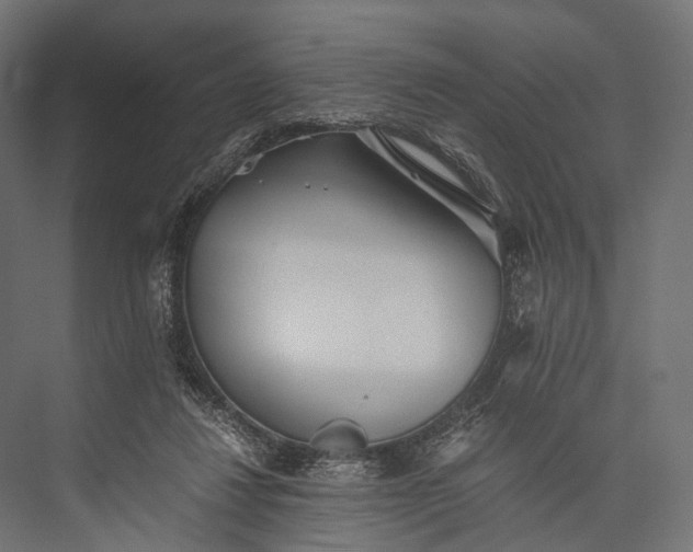 X0000076050260200610061518
