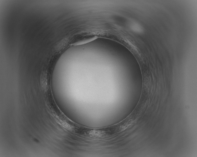X0000076050261200610061518