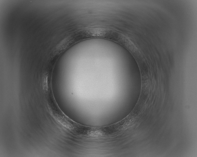 X0000076050262200610061518