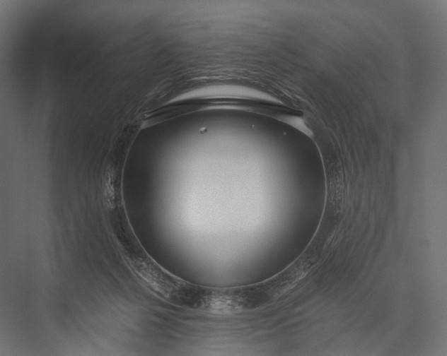 X0000076050264200610061518