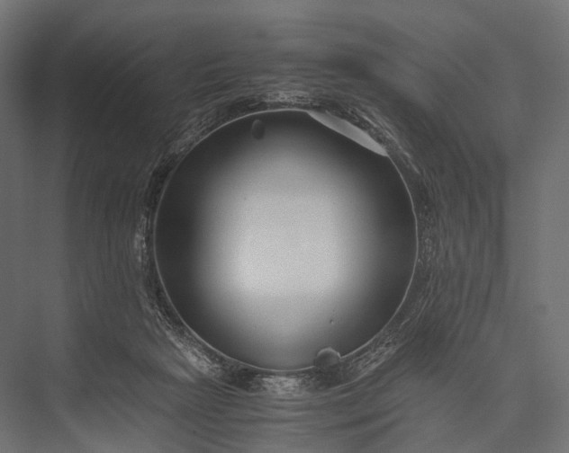 X0000076050265200610061518