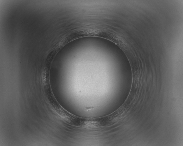 X0000076050268200610061518