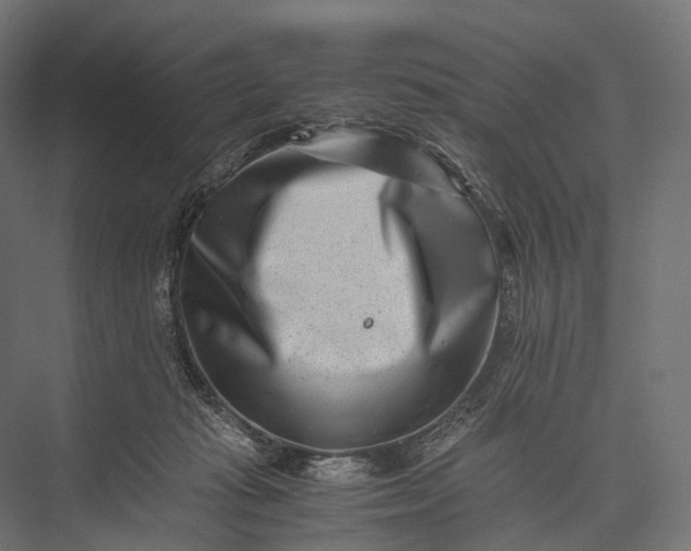X0000076050269200610061518
