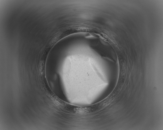 X0000076050273200610061518