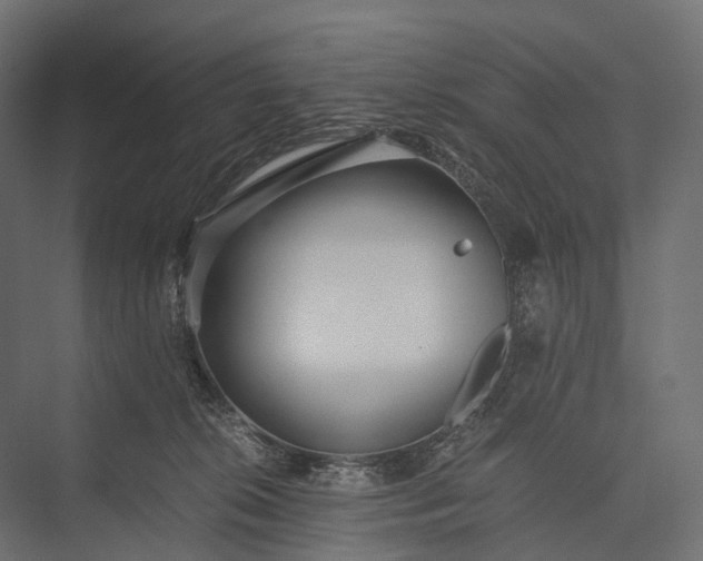 X0000076050276200610061518