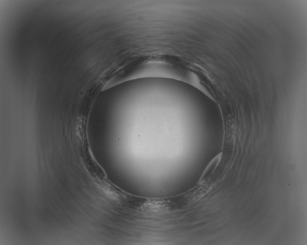 X0000076050280200610061518