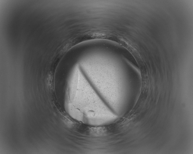 X0000076050281200610061518