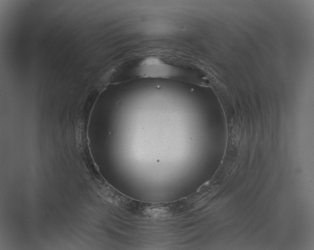 X0000076050283200610061518