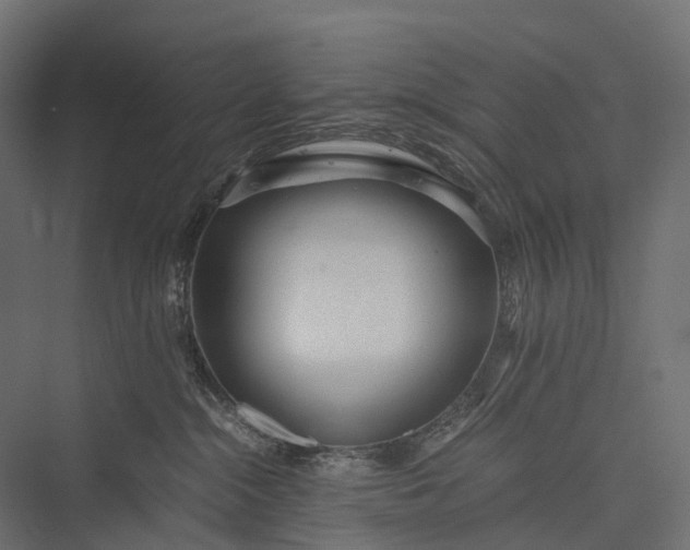 X0000076050284200610061518