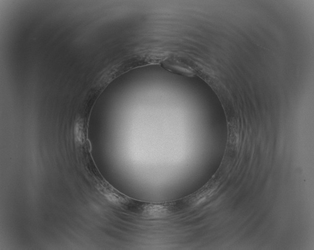 X0000076050287200610061518