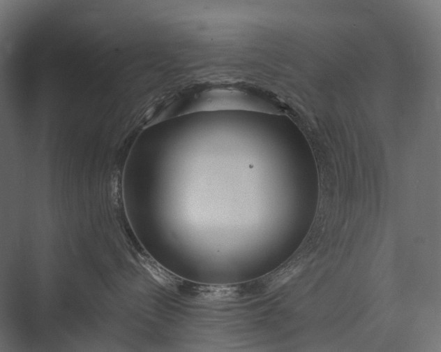 X0000076050288200610061518