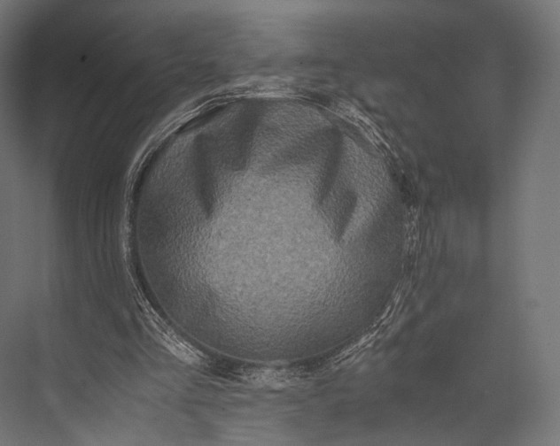 X0000076050293200610061517