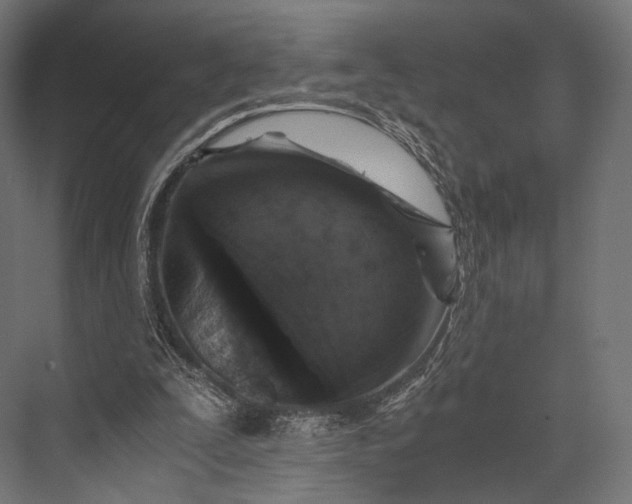 X0000076050295200610061517