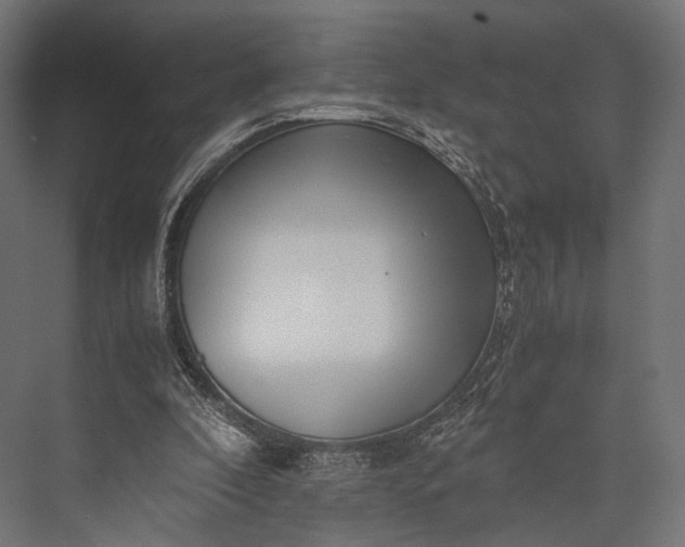 X0000076050296200610061517