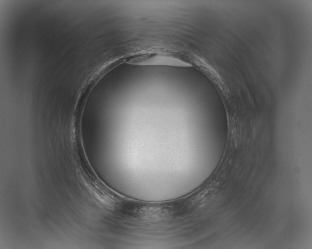 X0000076050298200610061517