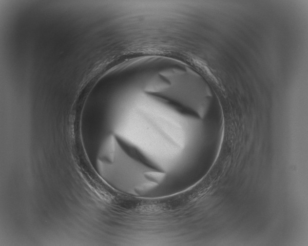 X0000076050299200610061517
