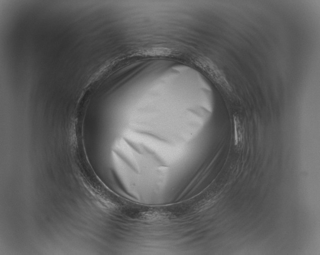 X0000076050300200610061517