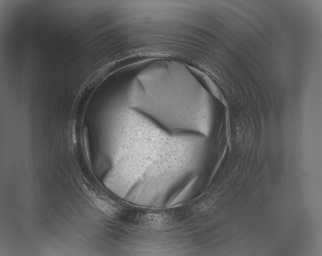 X0000076050302200610061517