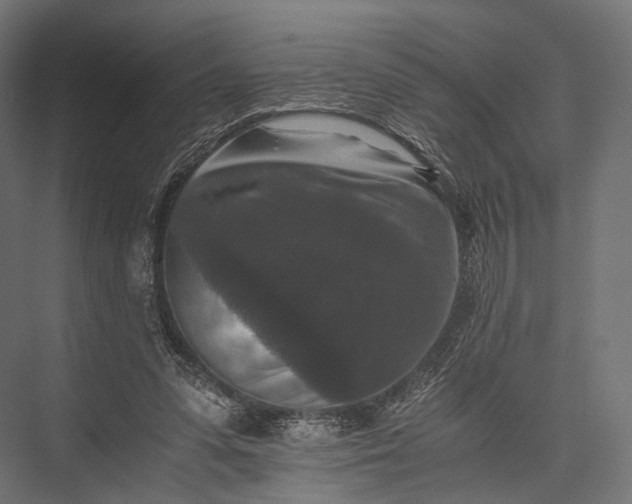 X0000076050303200610061517