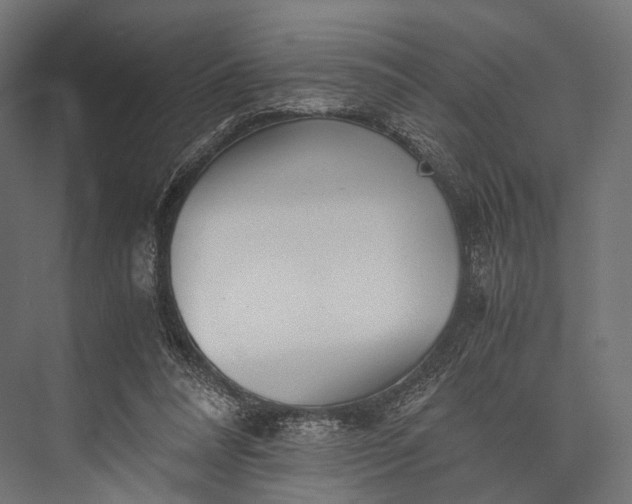 X0000076050304200610061517