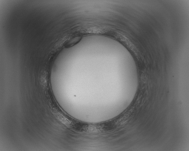 X0000076050305200610061517