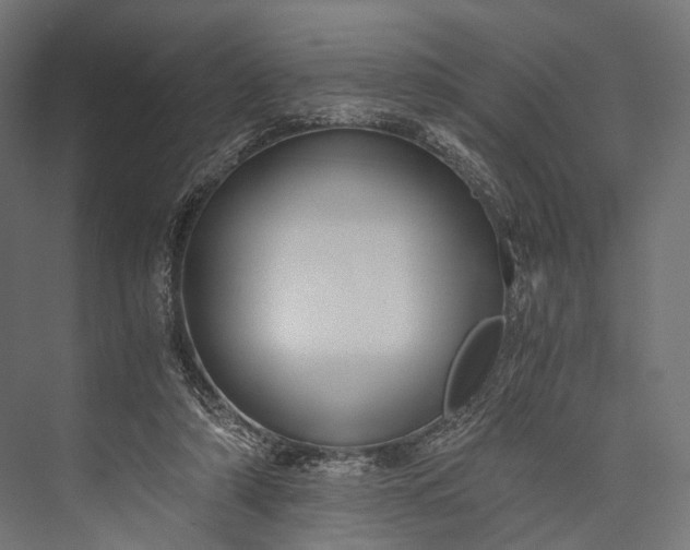 X0000076050306200610061517