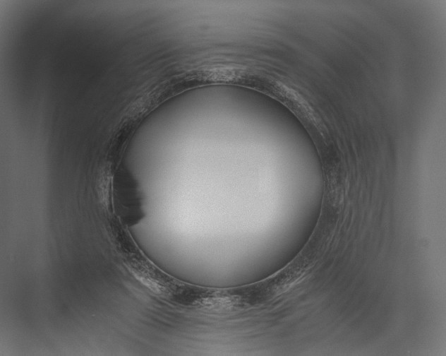 X0000076050307200610061517
