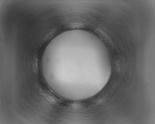 X0000076050308200610061517