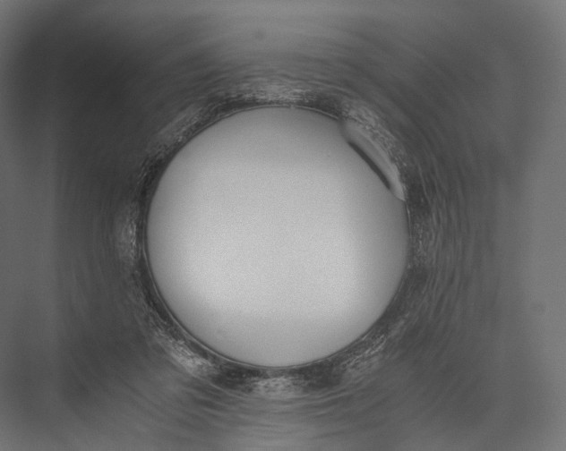 X0000076050309200610061517